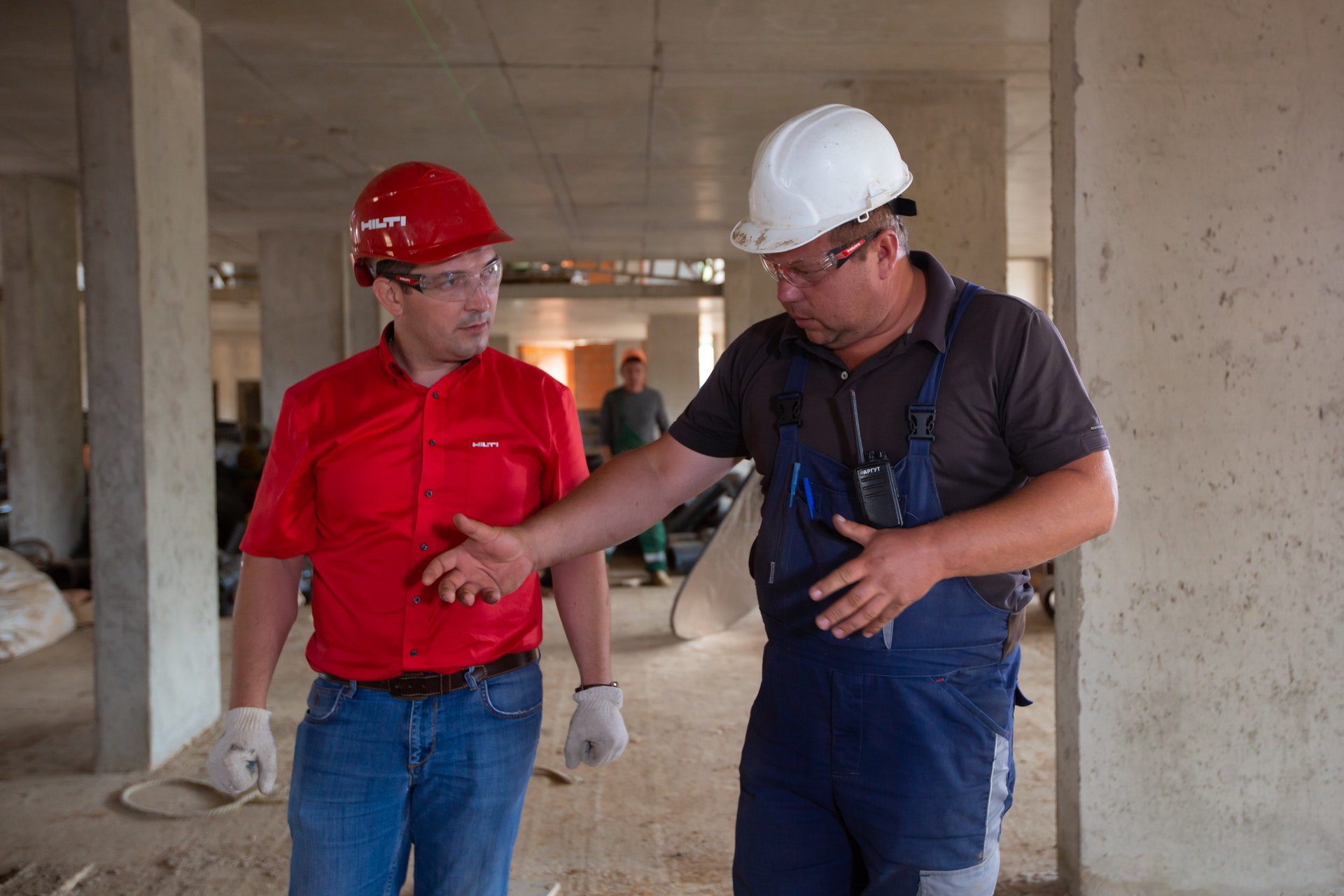 Mold Inspection